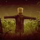 Scarecrow In A Cornfield - Scary Halloween - VideoHive Item for Sale