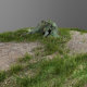 3d scanned tree stump and gras 3 - 3DOcean Item for Sale