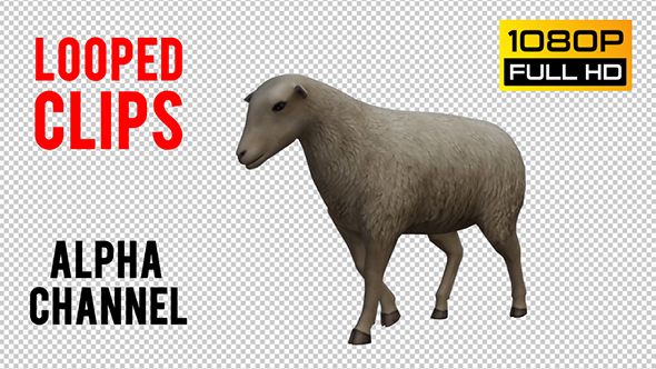 Sheep Looped 2 alt