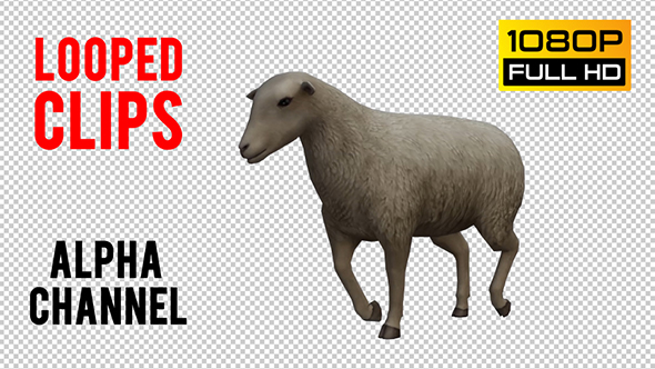 Sheep Looped 3