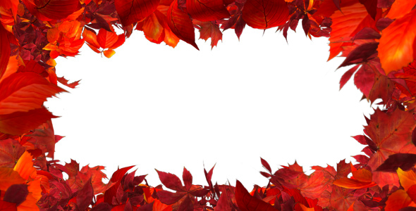 Autumn Leaves Frame