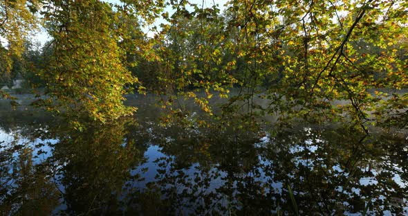 The pond Sainte Perine, Forest of Compiegne, Picardy, France.