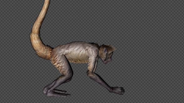 Monkey Attack Pack03 4 In 1 alt