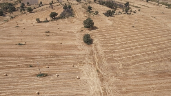 Flying Over Cultivated Land with Bales of Straw