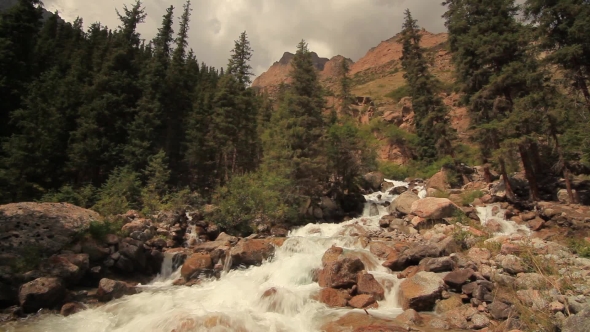 Mountain River in the Forest . Summer