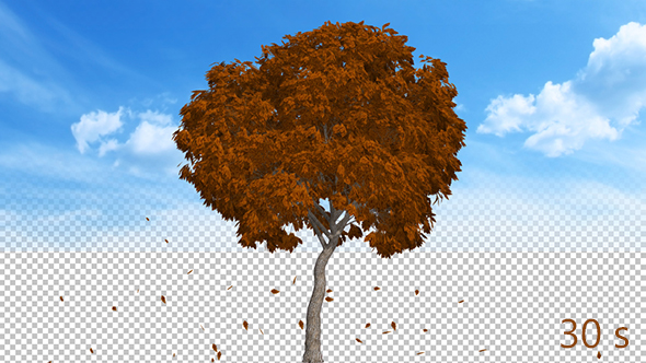 Leaves Falling Off Tree Ver.3 alt