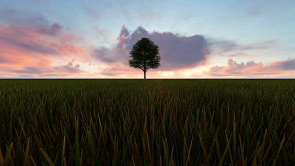 Tree and Clouds