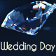 Wedding Day Opener - VideoHive Item for Sale
