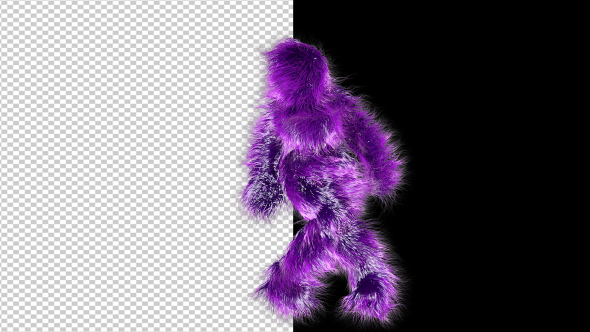 Purple Shaggy Dancer