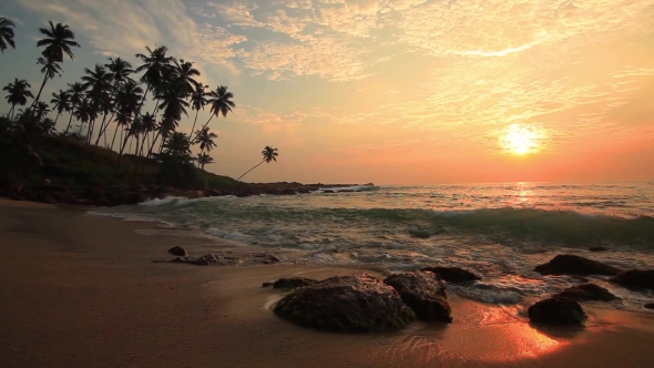 Sandy Beach with Palm Trees at Sunset