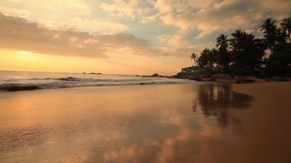 Sandy Beach with Palm Trees at Sunset