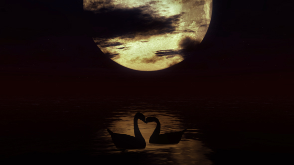 Two Swans in the Water Against the Background of a Big Moon 2