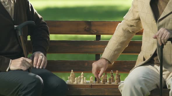 Retired Male Friends Playing Chess on Bench, Having Fun Together, Checkmate