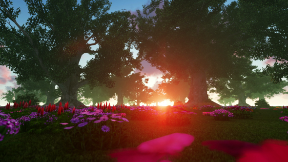 Jungle at Sunset alt