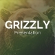 Grizzly PowerPoint Template - GraphicRiver Item for Sale