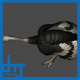 Ostrich Attack Pack03 4 In 1 - VideoHive Item for Sale