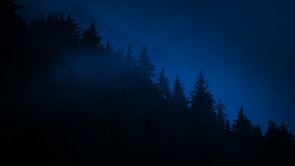 Mountain Trees Dark Against Mist At Night