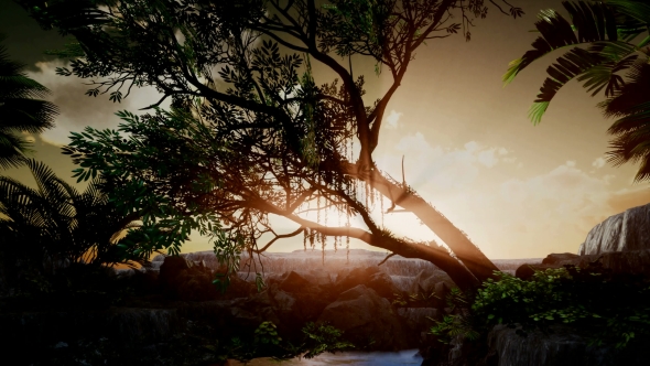 Sunset Beams Through Palm Trees alt