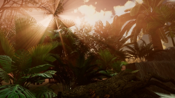 Sunset Beams Through Palm Trees alt