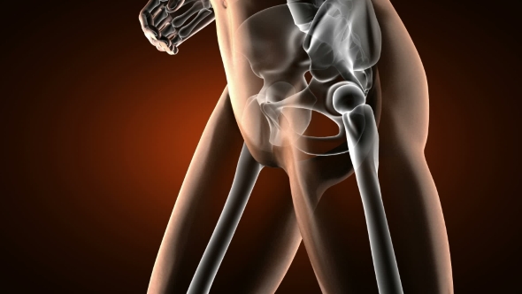 Human Bones Radiographic Scan alt