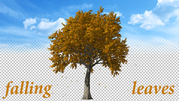 Falling Leaves of Autumn Tree alt