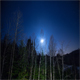 Winter Night Sky in Quebec  - VideoHive Item for Sale