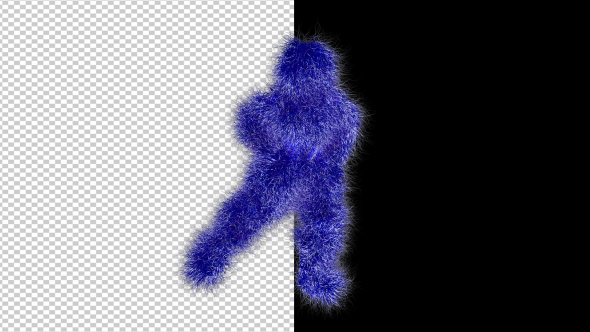 Dark Blue Hairy Dancer alt