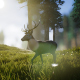 Lonely Deer - VideoHive Item for Sale