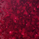 Petals Logo Reveal III - VideoHive Item for Sale