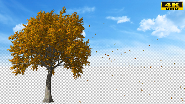 Falling Leaves Side View alt