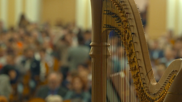 People Gather Before the Concert in the Concert Hall