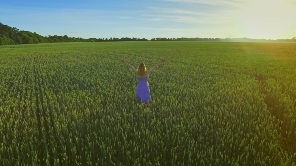 Woman Standing in Green Field with Hands Up. Summer Walking in Wheat Field