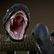 Snake 3D Model - 3DOcean Item for Sale