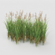 Grass Bush - 3DOcean Item for Sale