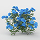 Blue Daisies Flower Bush - 3DOcean Item for Sale