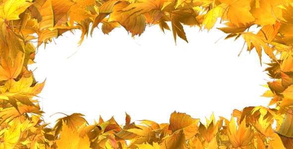 Autumn Leaves Frame