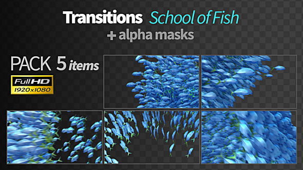 Transitions Fish