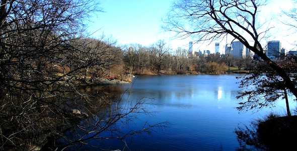 NYC Central Park Lake
