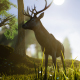 Lonely Deer - VideoHive Item for Sale