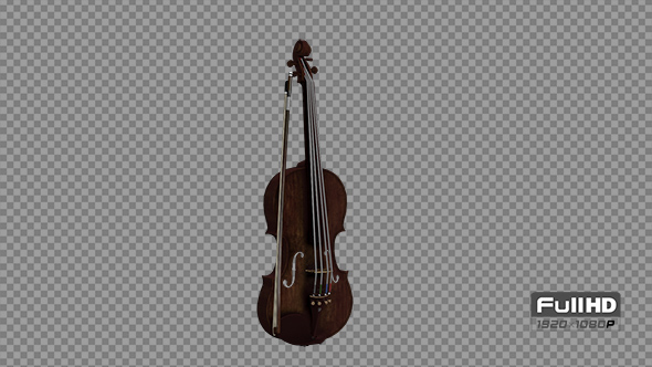 Violin