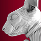 Sphynx Cat Sculpted Model - 3DOcean Item for Sale