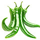 Bunches of Green Chili Peppers - GraphicRiver Item for Sale