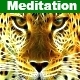 The Meditation Music