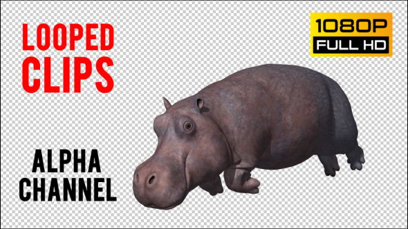 Hippopotamus Looped alt