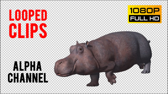 Hippopotamus Looped 4 alt
