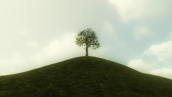 Growing Tree Background Animation alt