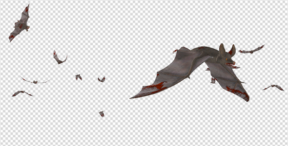 Swarm of Bats - Flying Around - Bloody Version alt