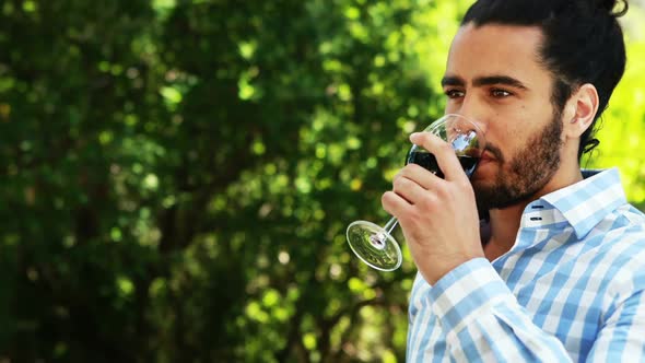 Man having glass of wine in park 4k