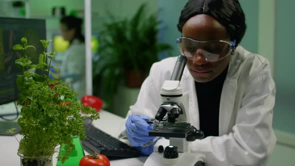 Front View of Biologist Researcher Woman Analyzing Gmo Green Sample