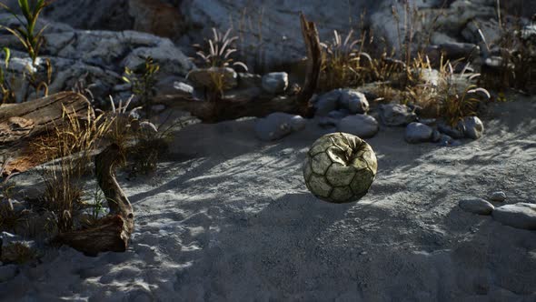 An Old Torn Soccer Ball Thrown Lies on Sand of Sea Beach alt